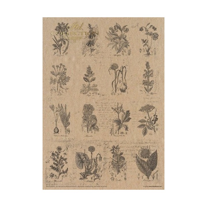 Creatieve set MS002 Kunstjournal Herbarium