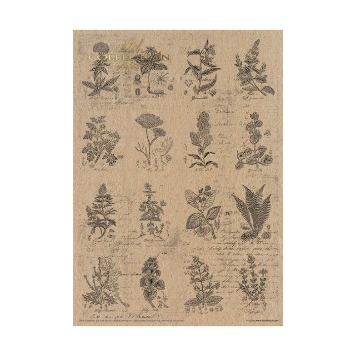 Creatieve set MS002 Kunstjournal Herbarium