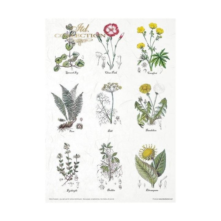 Creatieve set MS002 Kunstjournal Herbarium