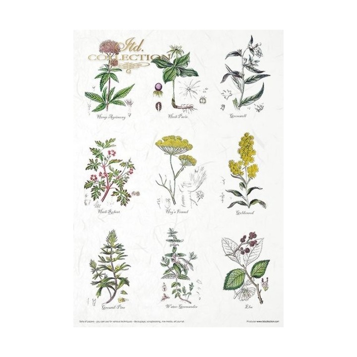 Creatieve set MS002 Kunstjournal Herbarium