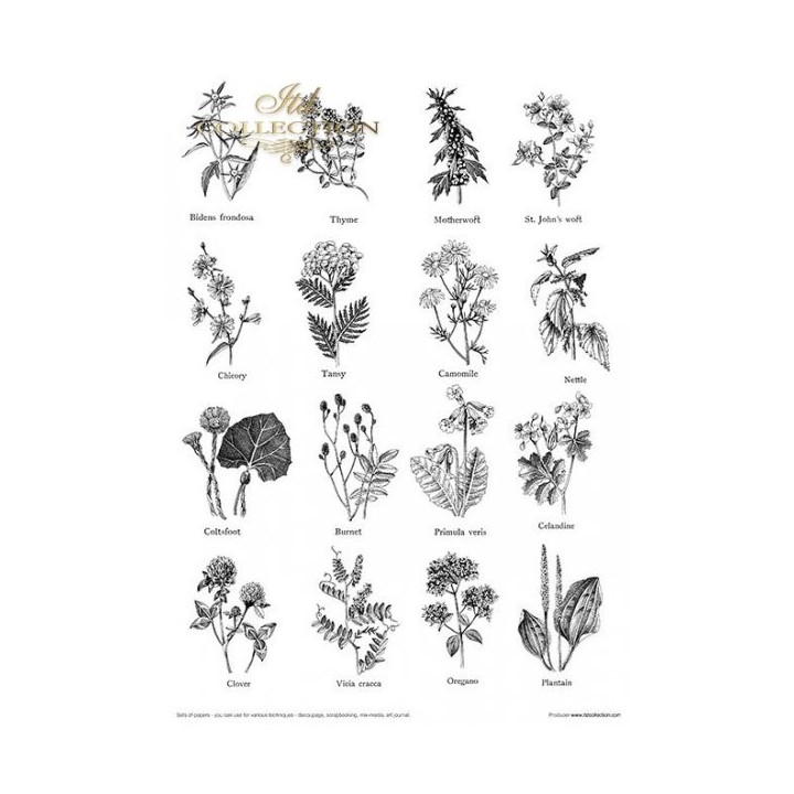 Creatieve set MS002 Kunstjournal Herbarium
