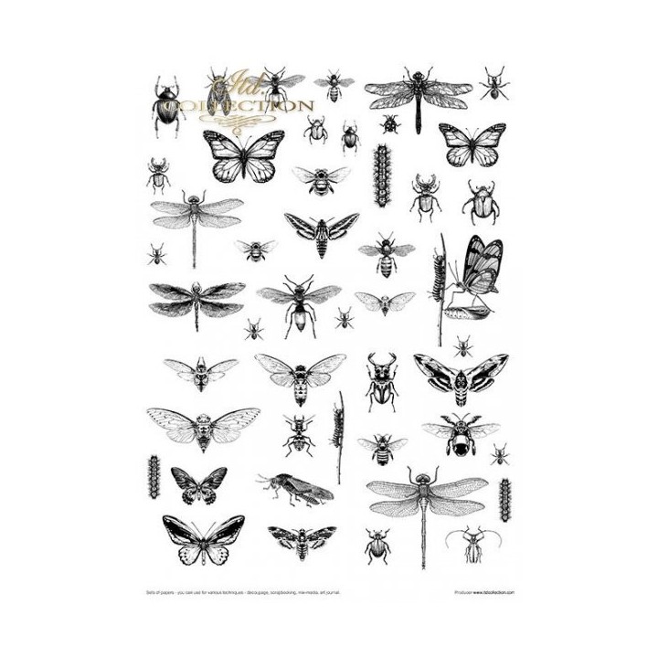 Creatieve set MS002 Kunstjournal Herbarium