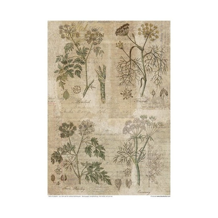 Creatieve set MS002 Kunstjournal Herbarium
