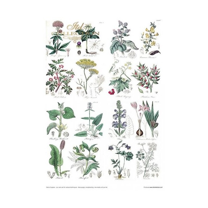 Creatieve set MS002 Kunstjournal Herbarium